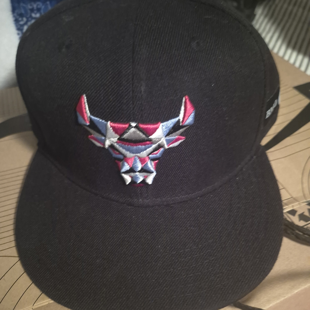 Chicago Bulls 2018 Cap with Embroidered Design